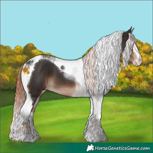 Horse Color:Liver Chestnut Splash Tobiano 
