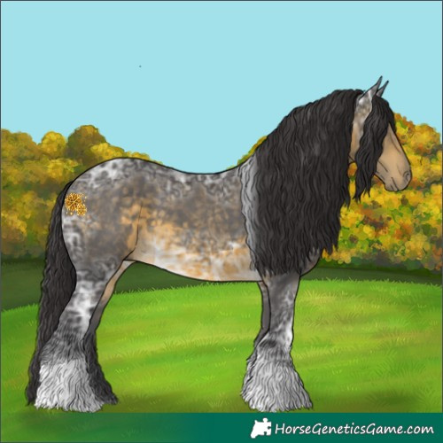 Horse Color:Buckskin Ice Tobiano