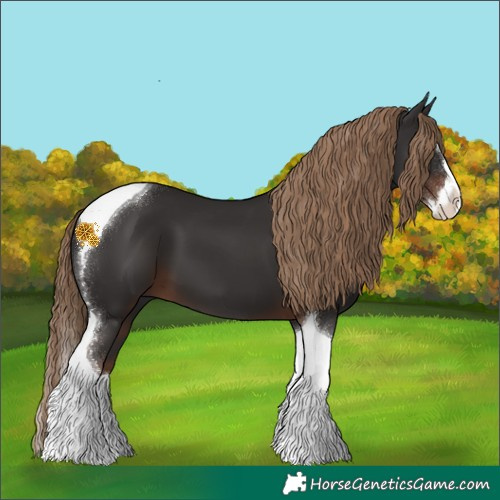 Horse Color:Liver Chestnut Splash Tobiano 