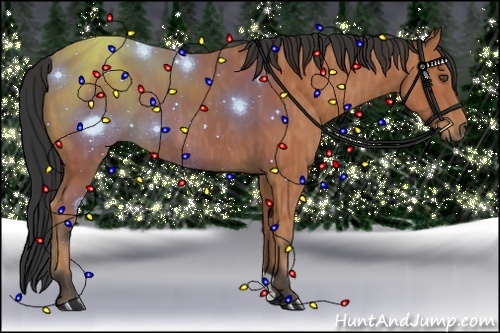 Horse Color:Bay Brindle