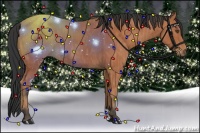 Horse Color:Bay Brindle