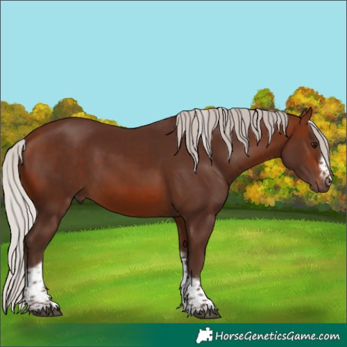 Horse Color:Silver Brown Tobiano Frame 