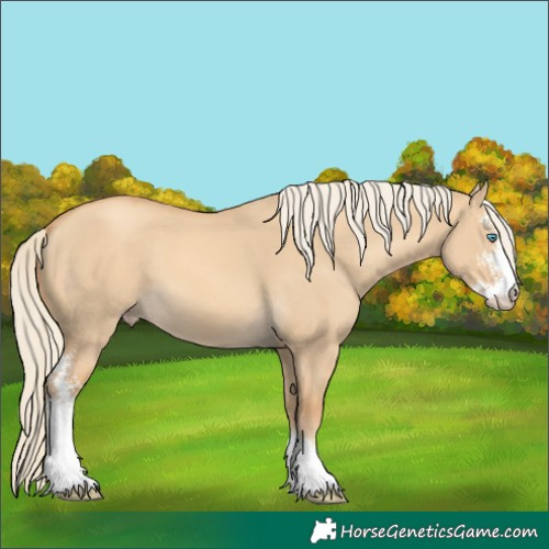 Horse Color:Gold Cream Champagne Dun Sabino 