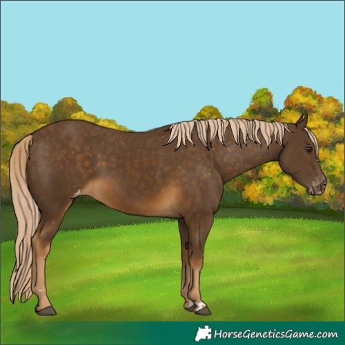 Horse Color:Chocolate Palomino Varnish 