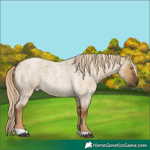 Horse Color:Chocolate Palomino Roan Dun Tobiano 