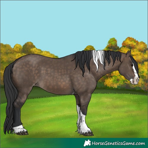 Horse Color:Brown Dun Splash Tobiano Varnish 