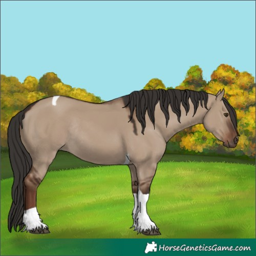 Horse Color:Liver Red Dun Tobiano Rabicano 