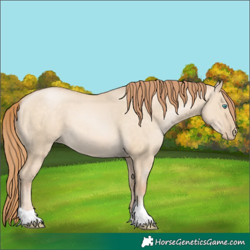Horse Color:Buckskin Pearl Dun Tobiano Rabicano 