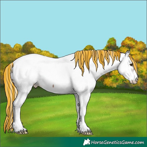 Horse Color:Painted Silver Black Ice Pearl Tobiano Appaloosa 