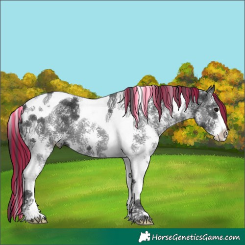 Horse Color:Painted Black Sabino Tobiano