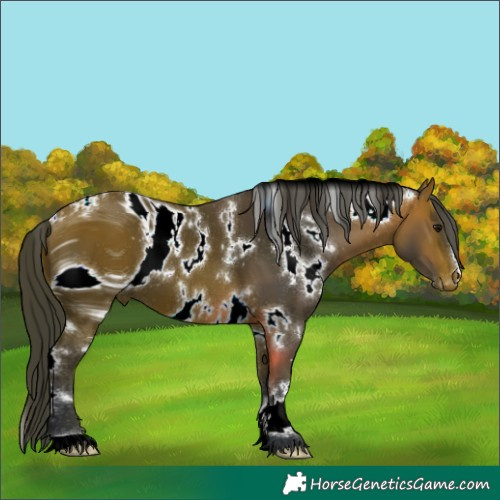 Horse Color:ERROR: UNKNOWN ANOMALY