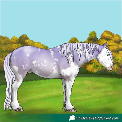 Horse Color:White Spotted Gold Cream Champagne Snowdrop Splash