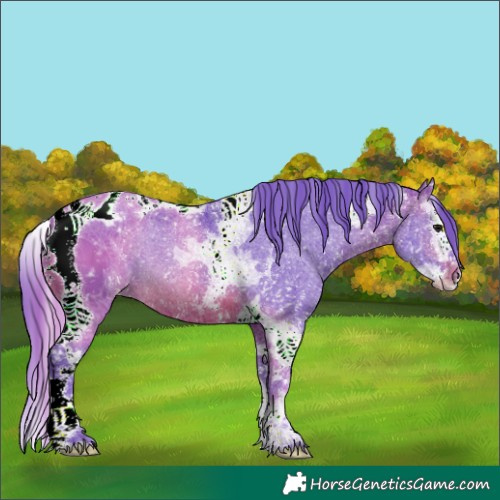 Horse Color:Watercolor Brown Splash Tobiano Appaloosa 