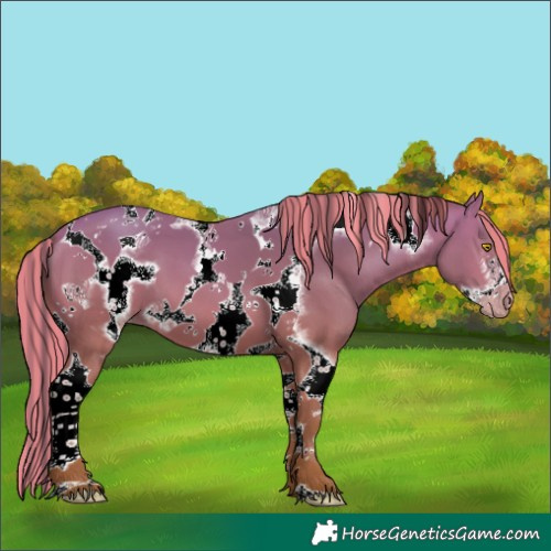 Horse Color:Painted Amber Champagne Tobiano Frame 