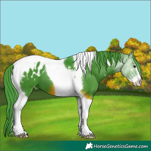 Horse Color:Watercolor Liver Chestnut Sabino Tobiano Appaloosa