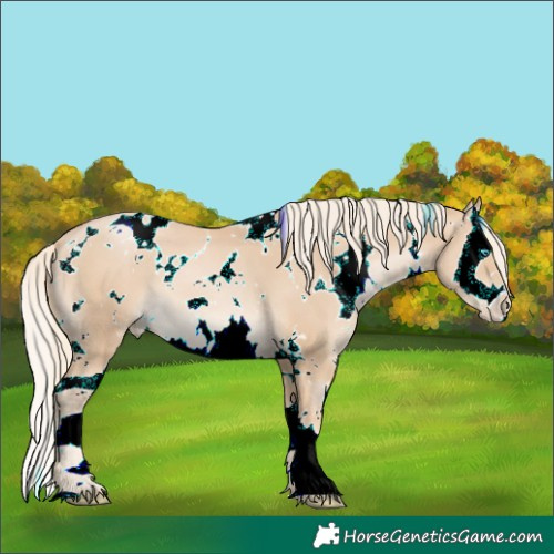 Horse Color:White Spotted Chestnut Snowdrop Pearl Splash 