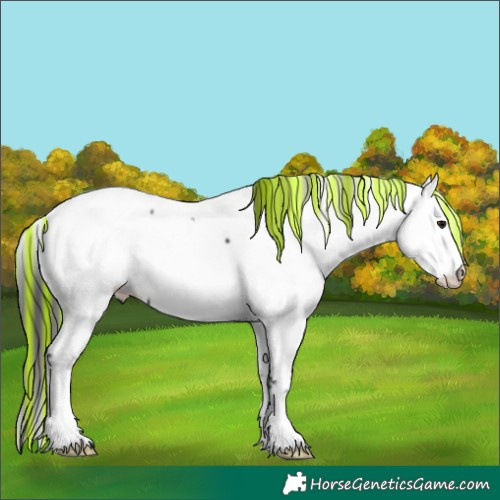 Horse Color:Painted Black Ice Frame Appaloosa