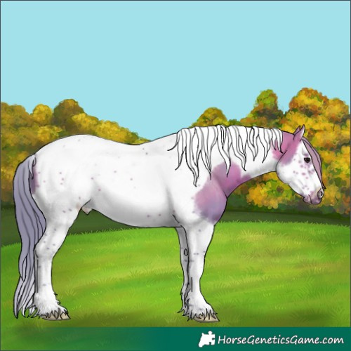 Horse Color:Watercolor Bay Sabino Splash Tobiano Frame 