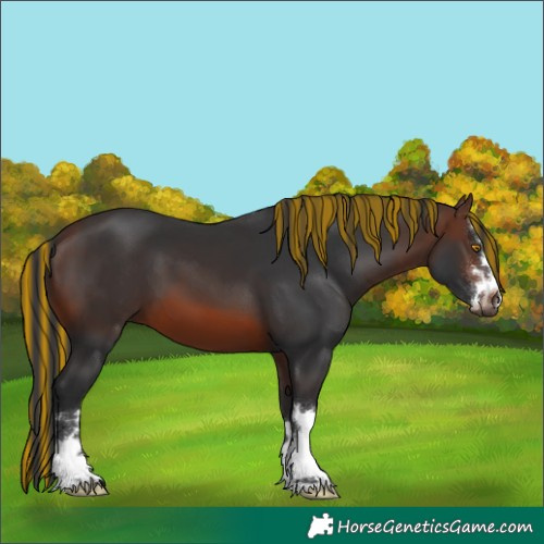 Horse Color:Painted Brown Mushroom 