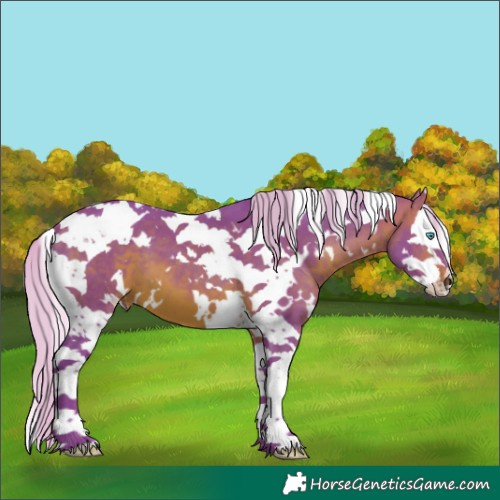 Horse Color:Watercolor White Spotted Silver Brown Splash Tobiano