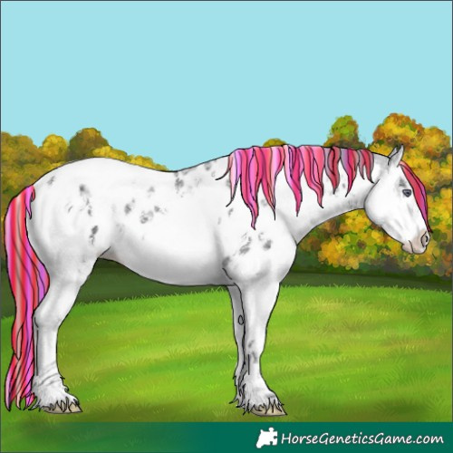 Horse Color:Painted Black Chinchilla Ice Splash Tobiano Near Leopard 