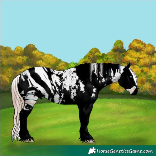 Horse Color:ERROR: UNKNOWN ANOMALY