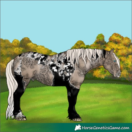 Horse Color:Liver Chestnut Ice Snowdrop Pearl Tobiano 