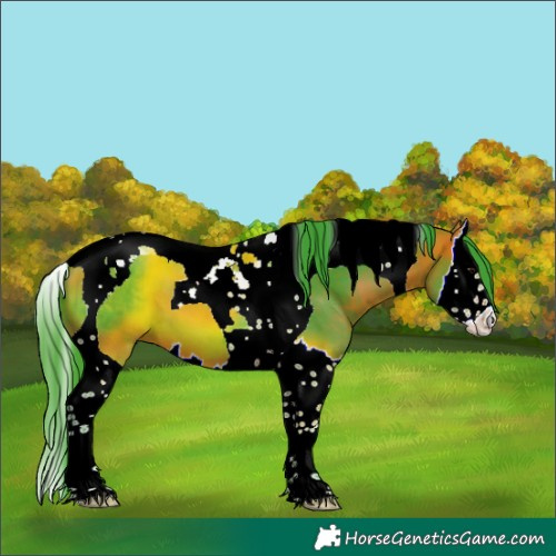 Horse Color:Watercolor Bay Splash Tobiano