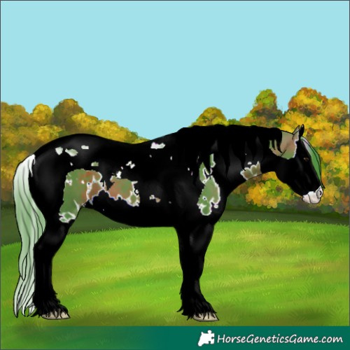 Horse Color:Watercolor White Spotted Bay Splash Tobiano