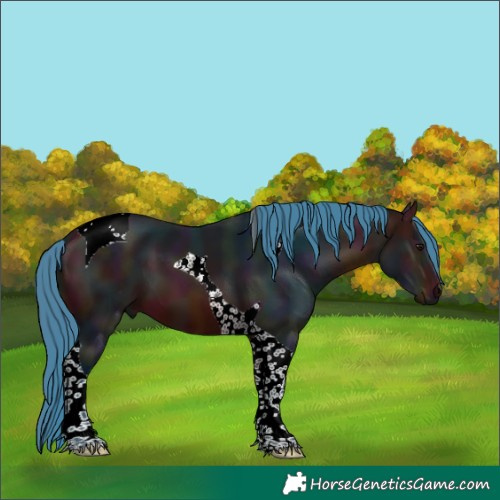 Horse Color:Watercolor Midnight Bay Tobiano
