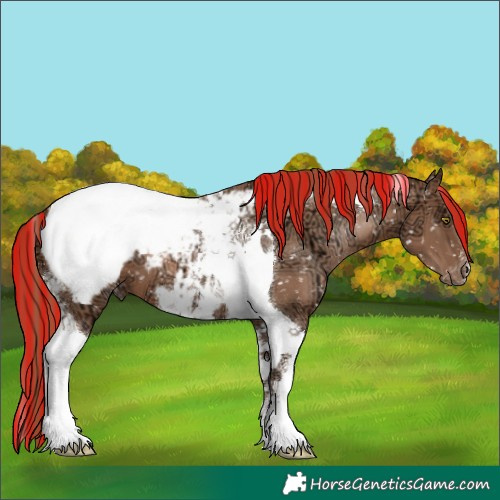 Horse Color:Painted Liver Chestnut Ice Pearl Tobiano Snowcap 