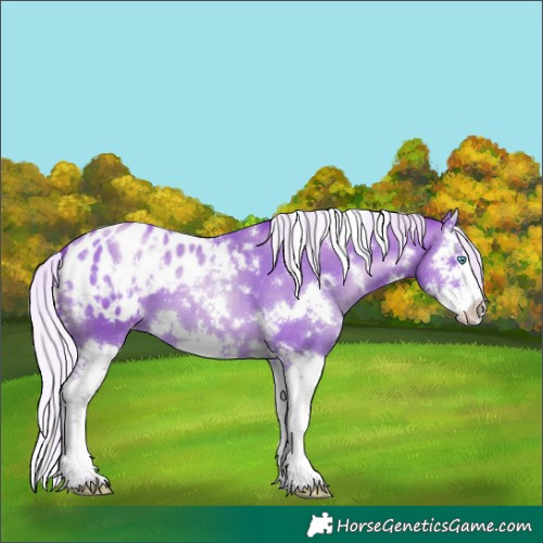 Horse Color:White Spotted Silver Bay Snowdrop Pearl Splash Varnish 
