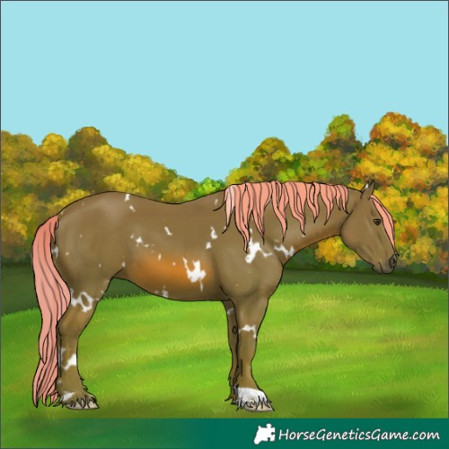 Horse Color:Watercolor White Spotted Chestnut