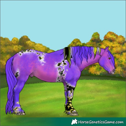Horse Color:Watercolor Bay Tobiano 
