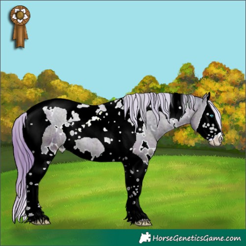 Horse Color:Watercolor White Spotted Midnight Bay Snowdrop Splash Tobiano 