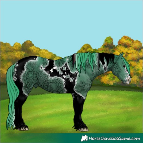 Horse Color:Watercolor Black Ice Tobiano 