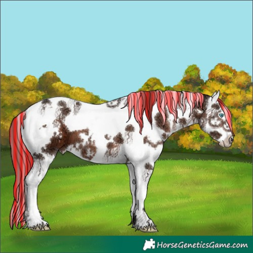 Horse Color:Painted White Spotted Liver Chestnut Ice Splash Tobiano 