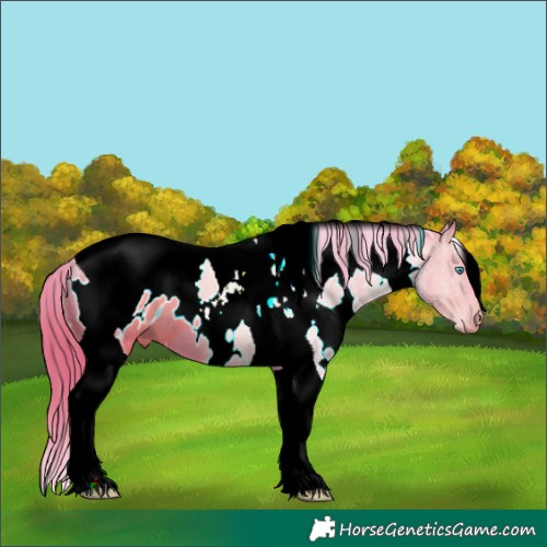 Horse Color:ERROR: UNKNOWN ANOMALY