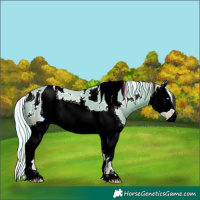 Horse Color:ERROR: UNKNOWN ANOMALY