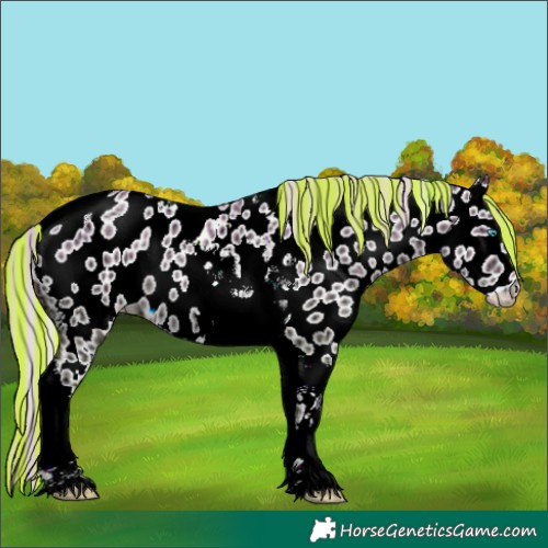 Horse Color:Painted Liver Chestnut Ice Snowdrop Pearl Tobiano Appaloosa