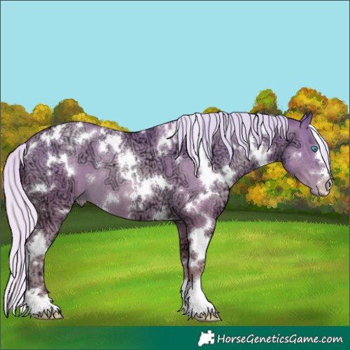 Horse Color:White Spotted Silver Bay Ice Snowdrop Pearl 