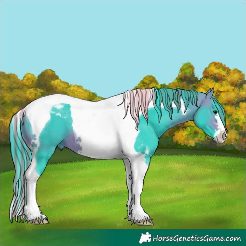 Horse Color:Painted Watercolor Bay Tobiano 