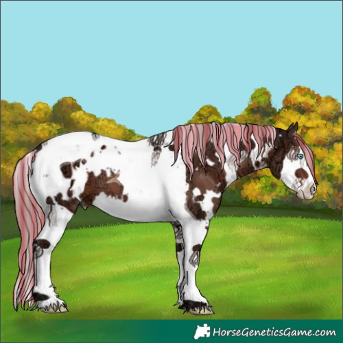 Horse Color:Painted White Spotted Liver Chestnut Ice Splash Tobiano Blanket 