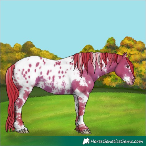 Horse Color:Painted Watercolor White Spotted Liver Chestnut Splash Tobiano Appaloosa
