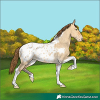 Horse Color:Sable Cream Champagne Dun Tobiano Blanket Brindle