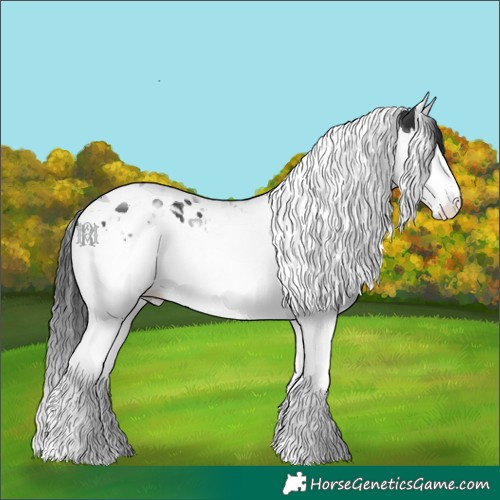 Horse Color:Black Splash Tobiano 
