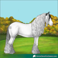 Horse Color:Black Sabino Splash Tobiano