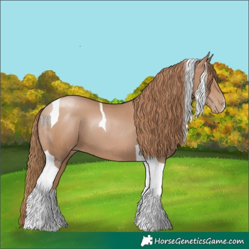 Horse Color:Black Pearl Tobiano 