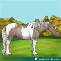 Horse Color:Silver Grullo Tobiano Appaloosa Rabicano