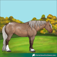 Horse Color:Silver Brown Dun Tobiano Rabicano